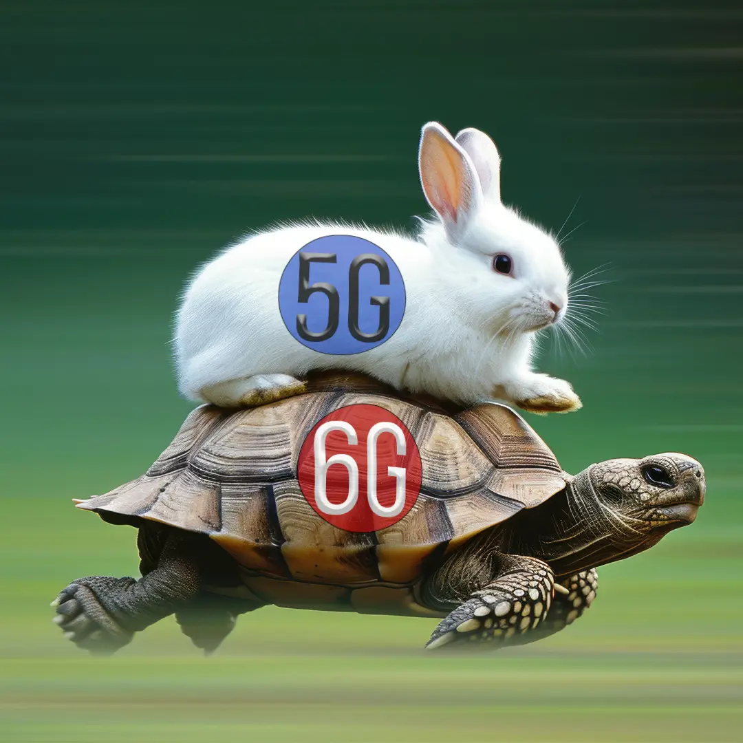 Turtle and the Bunny 6G