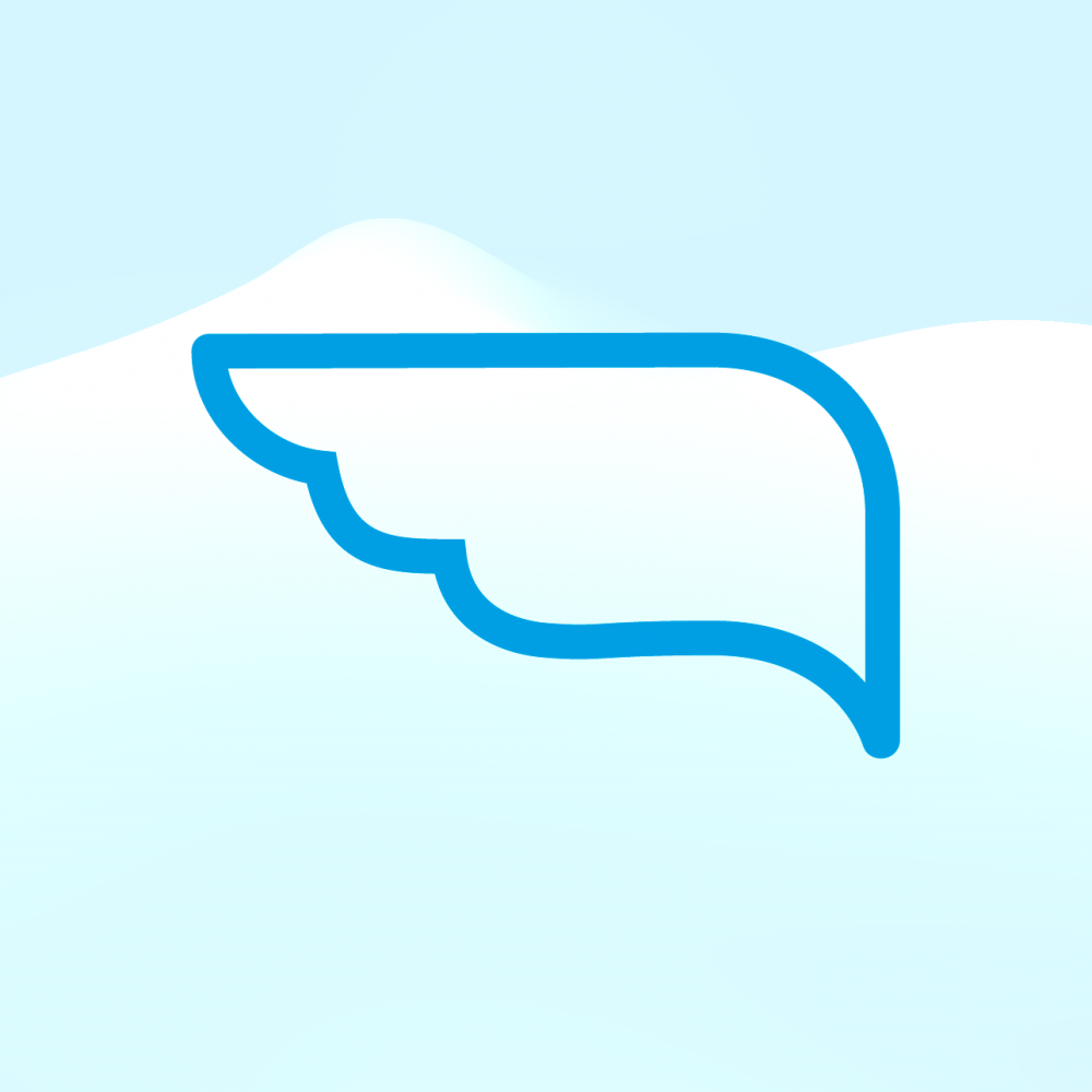 TCR Wing w background